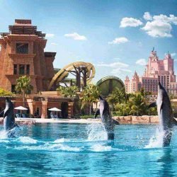 An Tour In Majestic Dubai