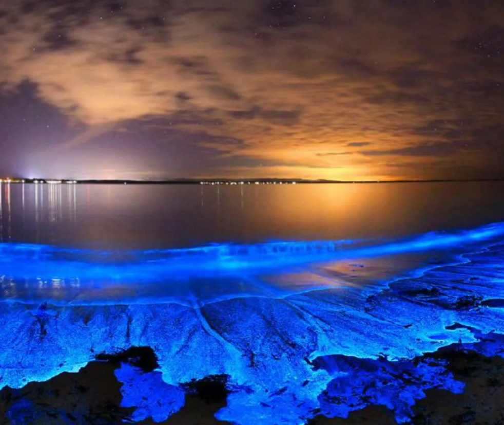 Vaadhoo Island, Maldives1